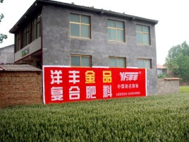 泸州如何让墙体广告展现最大化效果