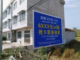 泸州墙体广告质量分析